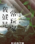 我就是正常玩家!