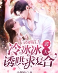冷情前夫又来追妻了