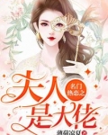 名门热恋之夫人是大佬免费阅读无弹窗