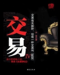 交易思维:操盘手的那些年 pdf