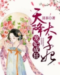 天降太子妃王爷求娶