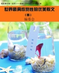 世界最具欣赏性的优美散文2 小说
