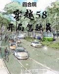 四合院从驾驶员开始笔趣阁