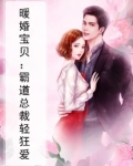 暖婚宝贝：霸道总裁轻狂爱