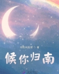 侯你缓缓归免费阅读