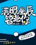 满眼星辰皆是你下一句怎么说