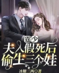 霆少，夫人假死后偷生三个娃