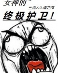 女神的终极护卫小说
