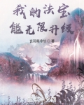 我的法宝能无限升级