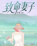 致命妻子