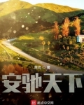 安驰天下笔趣阁