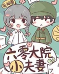 六零大院小夫妻免费阅读小说全文