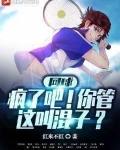 网球疯了吧你管这叫混子txt