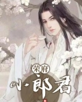 荣府小说