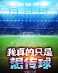 我真的只是想传球免费阅读
