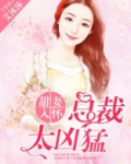甜妻入怀，总裁太凶猛