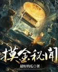 摸金秘闻 小说