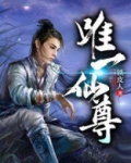 唯一仙尊 小说