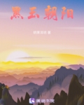 朝阳树化玉黑冰料原石