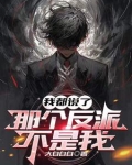 我都说了那个反派不是我小说
