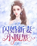 闪婚老公腹黑