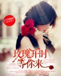 玫瑰等你来摘歌曲