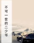 不可一世的太子爷小说