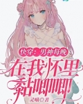 快穿：男神每晚在我怀里黏唧唧