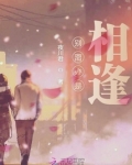 相逢亦别离小说