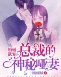 婚婚欲宠:总裁的神秘哑妻 下载