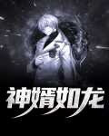 神婿如龙在线听书