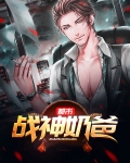 都市战神奶爸全集免费