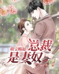 萌宝赐福:总裁是妻奴 昆初时