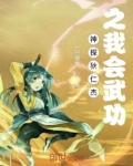 神探狄仁杰之神功