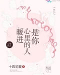 暖进心里的人是你小说百度云