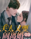 裴少,夫人又要闹离婚了免费阅读