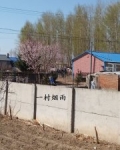 一村烟雨话农桑