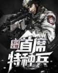 龙国荣耀：首席特种兵