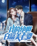 我的老婆白富美小说免费阅读