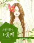 末世重生小透明TXT下载