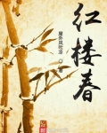 红楼春梦第六回 王熙凤巧计假还愿梦