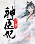 特工神医杀手妃