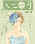 天生一对成伴侣打一数字