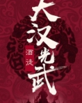 大汉光武小说