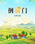 倒插门