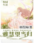 雅慧望当归