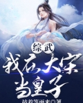 综武:我在大宋当皇子TXT