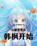 斗破苍穹从韩枫开始无广告