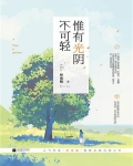 惟有光阴不可轻2全文免费阅读