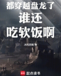 有没有穿越盘龙好看的小说